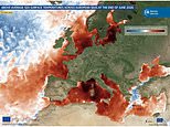 Urgent warning as ocean surface temperatures hit a record high for June – with fears the planet is entering ‘uncharted territory’
