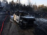 Europe hit by deadly weather extremes: Forest fire kills two in Greece, storms claim lives in the east and Portugal braces for 44C heat