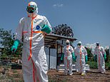 Britain unprepared for Ebola? MPs raise alarm over lack of published government plan to tackle eye-bleeding disease outbreak after France records its first case