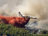 Thousands are evacuated as wildfires rip through France in wake of record-breaking heatwave… as country braces for more 44C temperatures