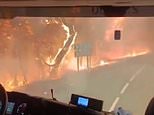 Costa Brava on wildfire alert as thousands are confined to their homes in Med tourist town with fast-moving blaze triggering freak ‘fire clouds’