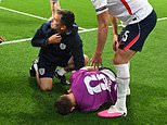 Jordan Henderson suffers ‘really bad’ freak injury in bizarre fall during England’s celebrations against Mexico at the World Cup