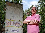 Homeowner who erected section of Berlin Wall in his garden without planning permission is ordered to tear it down or pay £20,000 fine after council warned it created an ‘oppressive sense of enclosure’