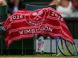Wimbledon fans left scrambling while players pocket its iconic towels as tournament faces ‘shrinkflation’ accusations after ‘disappointing’ strawberries and cream servings