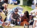 Blister plaster sales almost double as Wimbledon fans seek relief – alongside hay fever sufferers