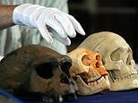 Story of human evolution rewritten as new evidence reveals a far more complex origin