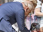 A tale of two houses: The royals put on a show while Harry visits hospital… but still no meeting between father and son