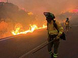 ‘Four Brits trapped in their car’ are among 12 people killed in Spanish wildfire – with ‘possible British nationals among walking group also killed’