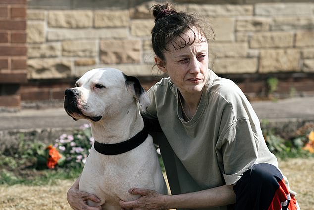 In Dragongfly, a downbeat yet engrossing film about a pair of neighbours in suburban bungalows, Brenda Blethyn and Andrea Riseborough (pictured) give performances of a lifetime