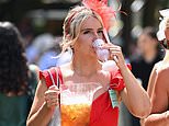 They won’t stay cool furlong! Newmarket racegoers try to slake their thirst as Britain swelters in 34C scorching temperatures