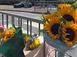 Boy dies in hospital after being hit by lorry: Driver, 48, is arrested
