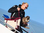 Erling Haaland returns home to hero’s welcome – bringing a £560 taxidermied RACCOON with him – before joining Norway fans in one last Viking Row celebration to toast country’s best ever World Cup run