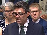 QUENTIN LETTS: Greta Garbo speaks! Andy looked slender and suntanned but seemed distracted by his suit button