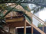 Homeowner’s fury after neighbour builds elevated platform that looks like a ‘East German lookout tower’ – which overshadows her garden and has killed her plants