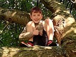 Cyclist, 11, was hit and killed by bus and car when he tried to cross road after seeing mother on other side, inquest hears