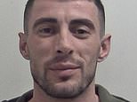 Albanian serial burglar who returned to Britain each winter to steal from more victims is jailed for 10 years