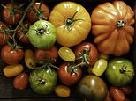 Is a 90p pack of cherry tomatoes as nutritious as an ‘heirloom’ punnet that costs a fiver? Diet expert reveals the surprising variety that’s the healthiest