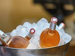 We asked the experts – and these are the 17 best supermarket rosé wines under £15