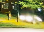 Moment teen boy racer brags ‘I’ve just bought this beast’ before mowing down pensioner, 84, then callously orders a takeaway pizza