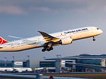 Air passenger ‘invokes Sharia law’ to avoid sitting next to a woman – before slapping stewardess who confronted him on flight from Turkey