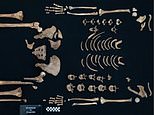 Debunking the myth of the male warrior: Ancient Egyptian PRINCESSES were skilled hunters with bulging muscles, study finds