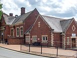 Boy, 15, is charged with rape and sexual assaults of eight girls aged as young as ten