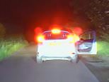 Moment speeding driver squeals for help as he is hunted down by police dog while trying to flee on foot after 80mph chase