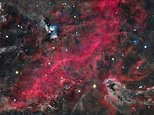 Out of this world! Astrophotography awards winners are revealed