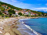 Tourist is seriously injured with ‘extensive blood loss’ after ‘deep bite’ while swimming in the Med off Italian holiday resort