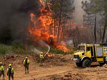 Military sent in to tackle wildfires as 270,000 are forced from homes by blazes across Spain and France and smoke and ash reaches Madrid – with Spanish PM warning of ‘complex hours ahead’