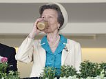 Thirsty work! Princess Anne eschews the fancy options as she sips from a tumbler while watching the racing at Ascot