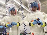 Shame on the cabal of Western scientists who mocked my Covid lab leak theory to protect their own backs – growing evidence suggests I was right: IAN BIRRELL
