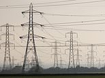 Blackout fears after insiders claim national power grid is ‘out of control’ and on brink of collapse