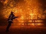 ‘We’re ready for anything’: Bordeaux braces itself for blazes as wildfires rage across France and Spain – with more than 300,000 evacuated
