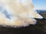 Tinderbox Britain braces for fourth heatwave this week as wildfire risk grows in drought-hit regions while Europe burns in ‘apocalyptic’ infernos