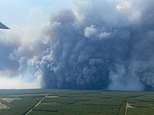 What is a fire cloud? Scientists blame little-known weather phenomenon for supercharging the wildfires blazing across France and Spain – as they warn the worst could be yet to come