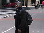 Serial sex offender on trial for murder had link to ‘rape’ website on his computer
