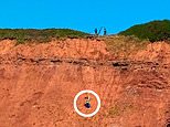 Cockapoo has miraculous escape after falling off 170ft cliff onto tiny ledge