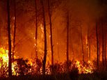 How wildfire smoke could be putting YOUR heart at risk, even if it’s HUNDREDS of miles away. Damage can start within days. These are the risks you must know