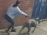 Children, aged six and 11, rushed to hospital after being attacked by a dog at playground: Police release CCTV