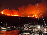 More European tourism destinations are hit by wildfires as villages are evacuated on top Greek holiday island and France battles flare ups in 40C heat