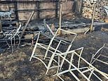 Glass objects can spark blazes, warn firefighters after sunlight refracts through garden table to start fire