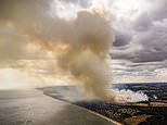 Scientists reveal what would happen if ‘out of control’ wildfires reach the Sizewell B nuclear power station