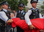 Palestine Action co-founder given permission to challenge decision to ban group – as police arrest 77 supporters at protest outside court