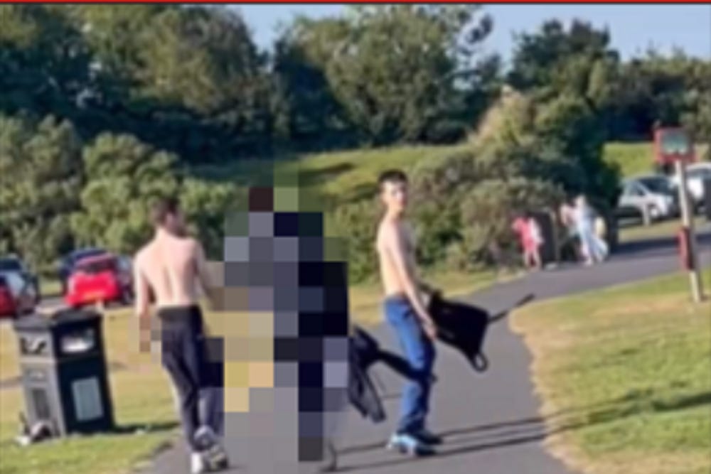 CCTV shows moment teen killers congratulate each other running after crime
