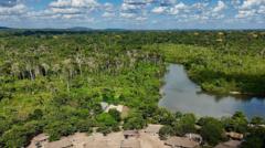 Brazil’s Amazon sees sharp decline in size of area burned in 2025