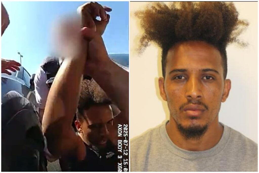 Moment saw-wielding shoplifter arrested after shocking attack on store staff – as he is jailed for 10 years