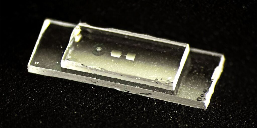 ‘This computer works almost like a guitar’: Fingernail-sized quantum chip uses vibrations to store data