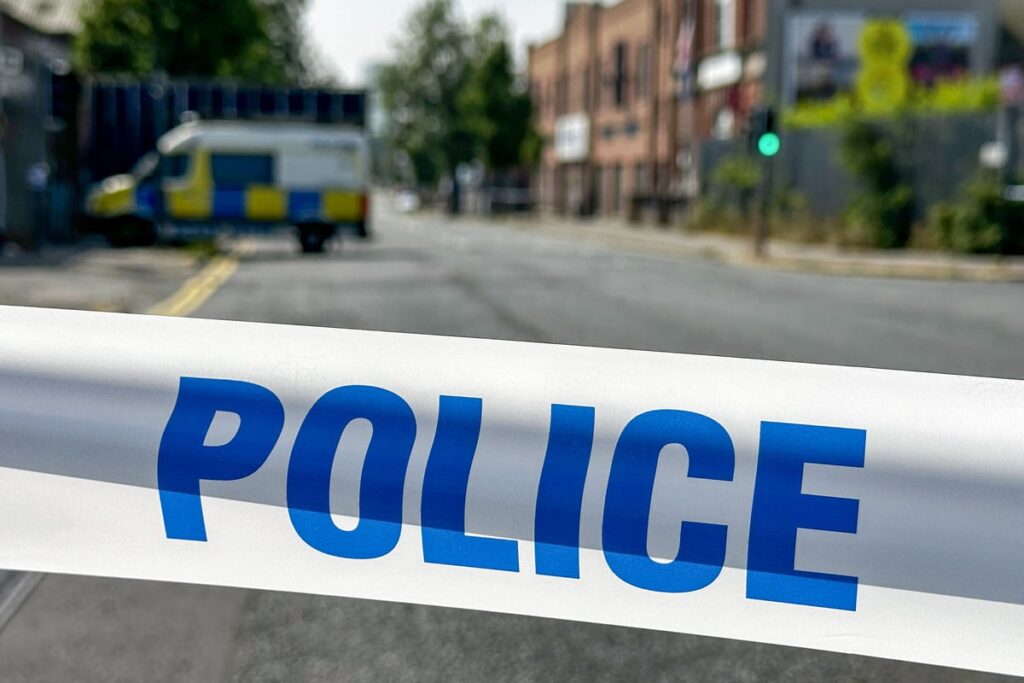 Driver in crash which killed pedestrian was in mental health crisis, court told