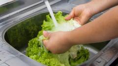 US reports first two deaths linked to ‘explosive diarrhoea’ outbreak